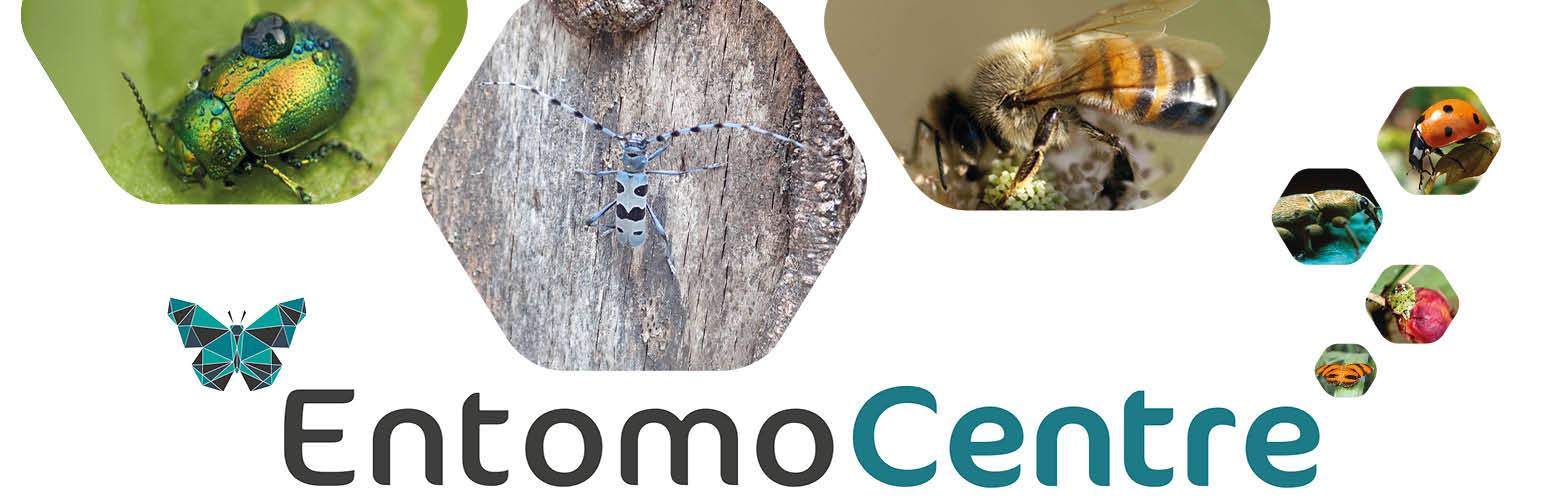 Réseau thématique de recherche EntomoCentre