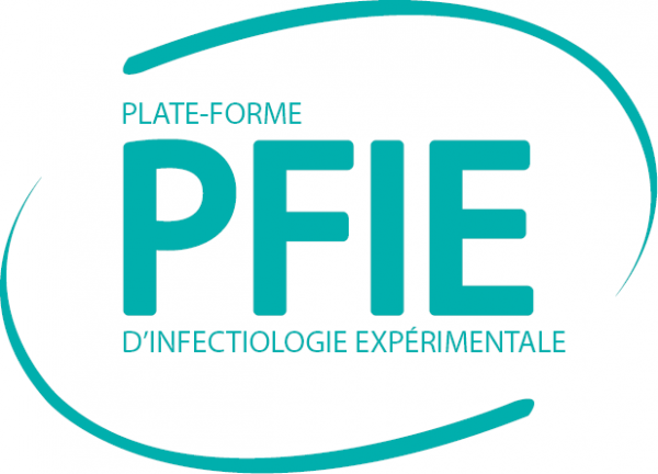 PFIE