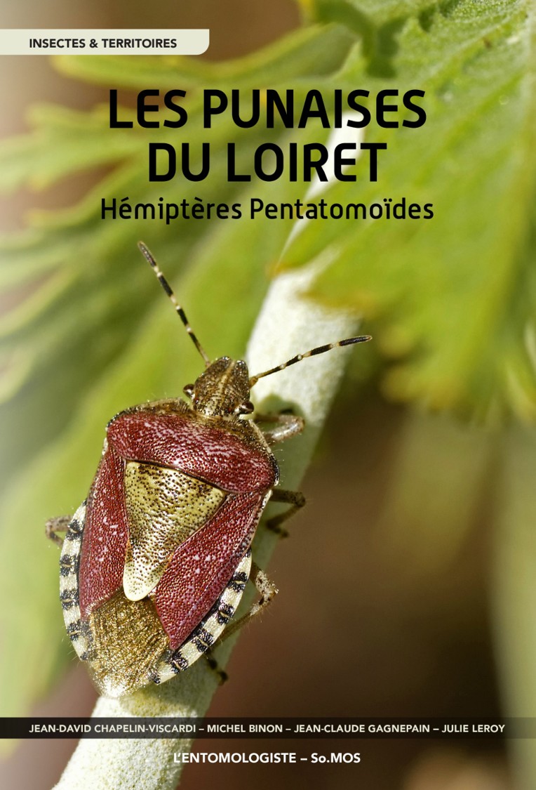 photo insecte punaise; Jean-David CHAPELIN-VISCARDI 