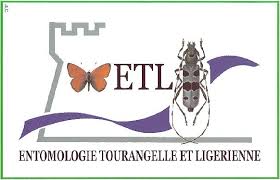 logo association ETL
